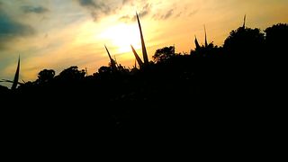 Village Nature Beauty