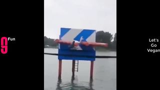 Try not to laugh ????