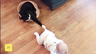 Funny Baby and cute Cat moment