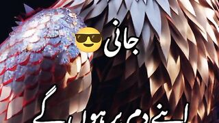 Urdupoetry