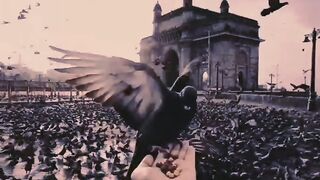 Ab bawra howa man sad boys 2 song ringtone kailisglh