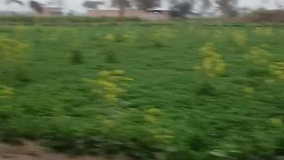 Natural Beauty of Village Video #01