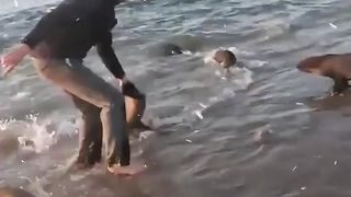 The seal rescue
