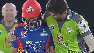 Cricket