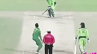 Cricket