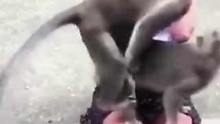 Funny Video