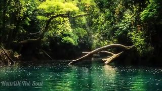 Abdulrahman Mossad -- Heart soothing recitation with beautiful background -- 2022. qarimustafa5588
