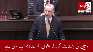 Leader