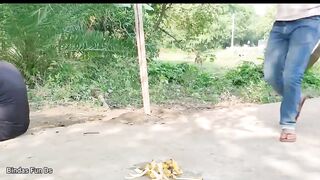 funny Videos 2023