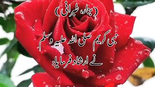 ????Farishta aisa admi k Salam ka jawab data hai | Hadees Mubarak | Hadith Shareef ????