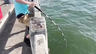Must Watch Very Special Funny Video Most Trending Funny  video