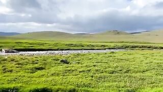 Nature beauty