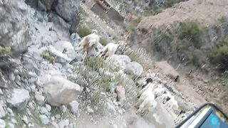 Pakistan valage life