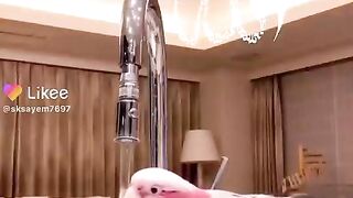 Parrot