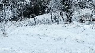 Lovely snow in azad kashmir#snow#heavy snow#shorts