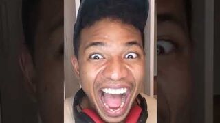 ANIMAL TIKTOK COMPILATION ???????????? REACTIONS Tiktok