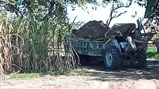 Village greenary in the Way|hmara gao ka Rasta