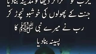 یا رسول اللہ صلی اللہ علیہ وسلم