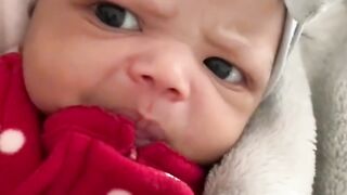 Funny baby videos