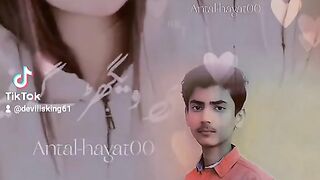 Haseeb king song