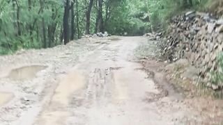 A Journey Through Nature's Beauty"