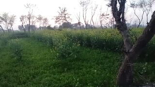 Natural Beauty of Village Video #03