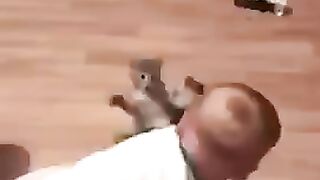 Смешные видео