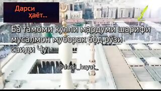 Дарси хаёт