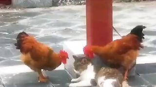 Приколисты 2