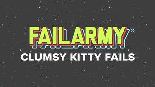 funny cats fails