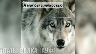 Топовые мемы