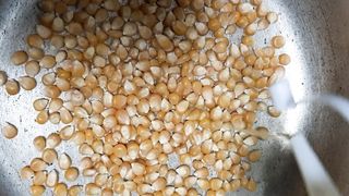 Corn Burst