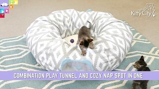 Kitty City Large Cat Tunnel Bed, Cat Bed, Pop Up Bed, Cat Toys