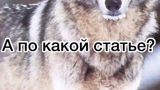 ???? Подпишись, оставь лайк и комментарий.