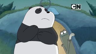 New Be@r toons