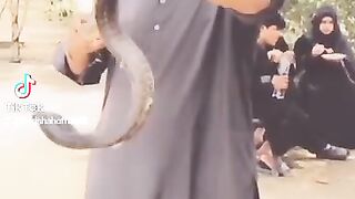 Get snake from his owner