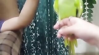 Parrot calling Shahmeer