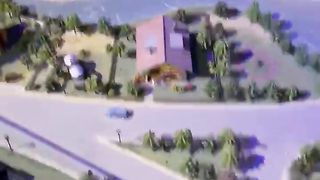 Video shows video