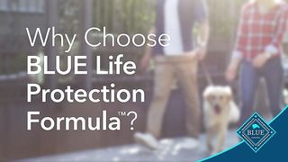 Blue Buffalo Life Protection Formula Natural  Small Breed Dry Dog Food, Chicken and Brown Rice 15-lb
