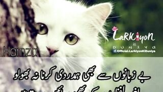 can you like short poetry part 28 Mughalpoetry