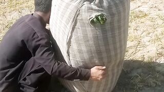 Best weight lefting video