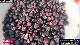 Amazing Videos
