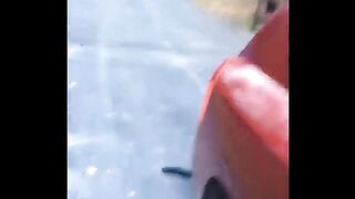 Funniest Animals ???? - Best Of The 2020 Funny Animal Videos ???? - Cutest Animals Ever Part 2
