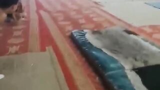 Respect # 7