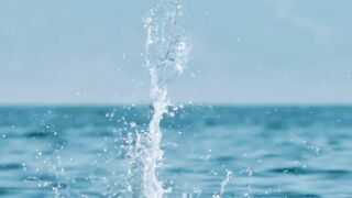 Fliying Fish in sea