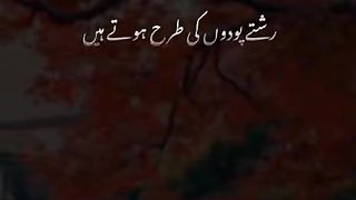 Deep lines ???? #truelines #urdupoetry #urduquotes #urdushairi