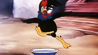 Funny video baby