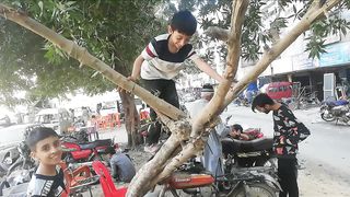 Child climbing tree