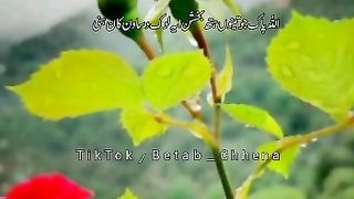Saraiki poetri
