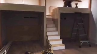 Bunkroom